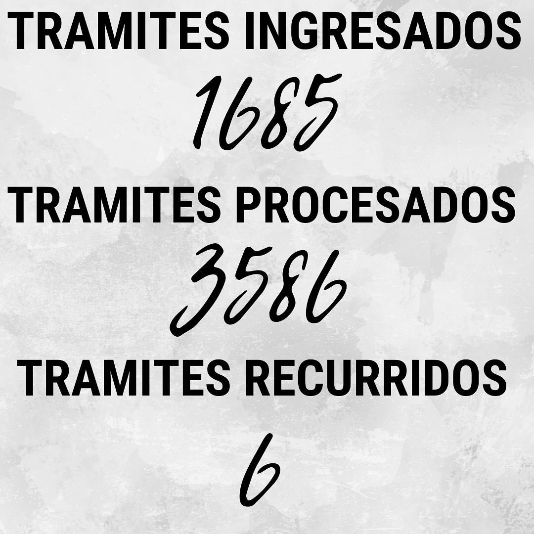 JuzgadoNro's tweet photo. Trámites ingresados y trámites procesados durante el mes de septiembre del año en curso. 

#justicia #justiciaabierta #trámites #despachos #familia #juzgado #juzgadodefamilia 

📊🤯👩‍⚖️🏛 https://t.co/5jgwGKzUPS