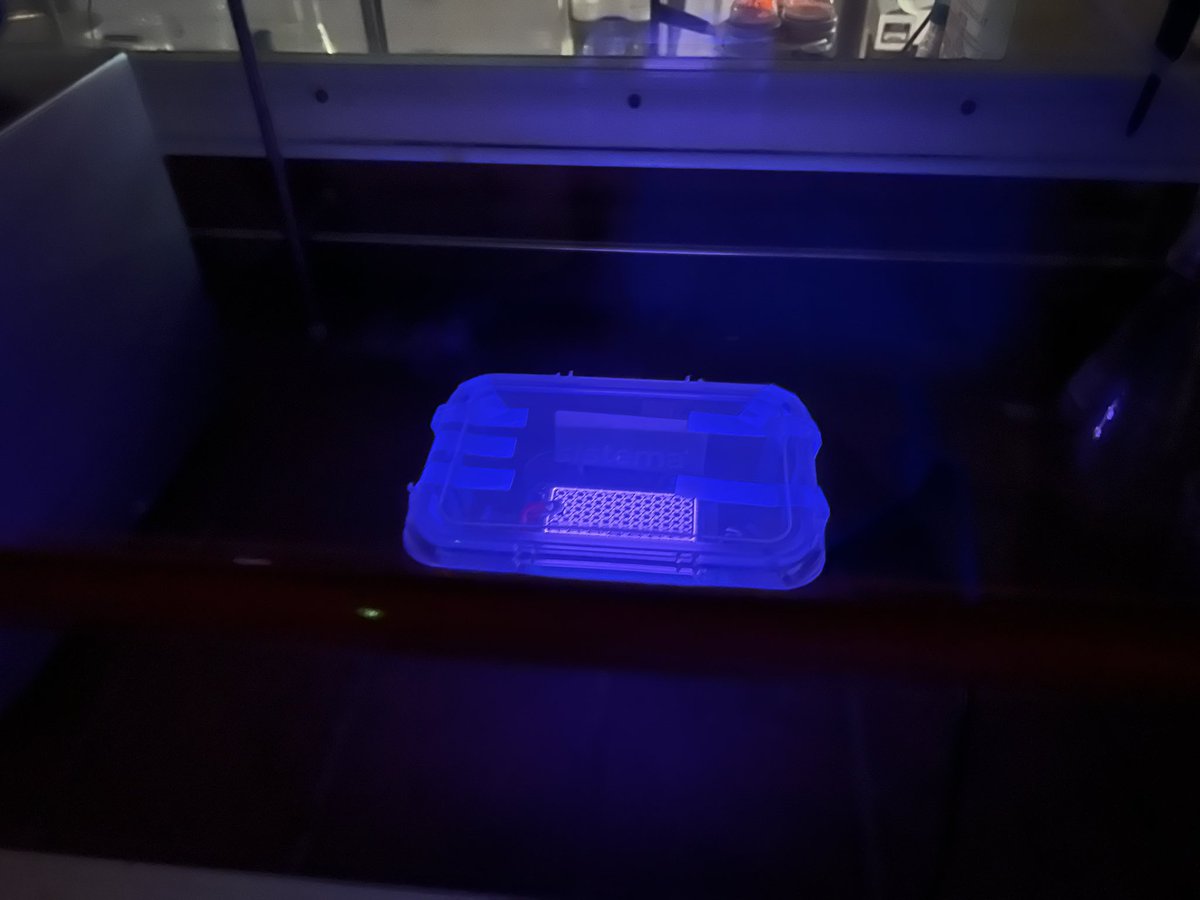 XianjueC's tweet photo. Trying out late night experiments on carbon together with Jacob @nzjakemartin Dan and Angus @Uni_Newcastle @chem_uon in the middle of conference #ICEAN2022 https://t.co/QrJdqmXwnO