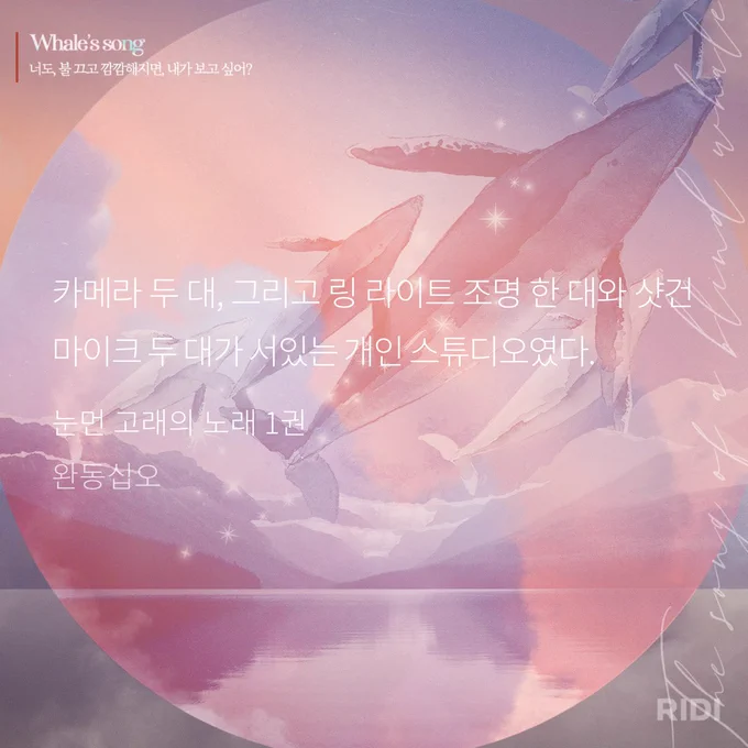 Image from 쵸 (@bl_macho)