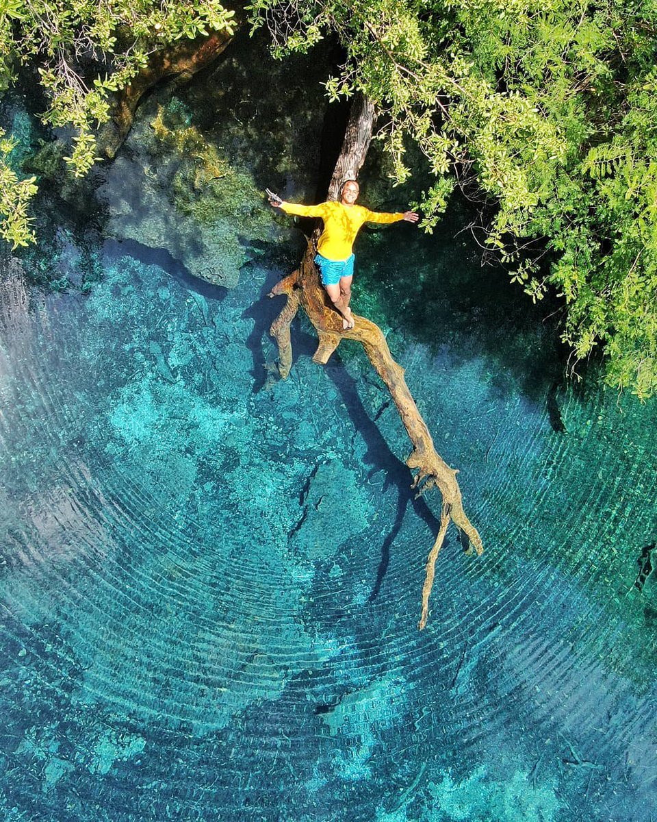 El Día Mundial de Protección de la Naturaleza se celebra con el objetivo de crear conciencia en la población sobre la necesidad de cuidar el planeta.🌎

Recuerda:

♻️Reciclar y reutilizar el plástico.
🛍️Usa bolsas de compras ecológicas.

📷: Reserva Ecológica Ojos Indígenas.