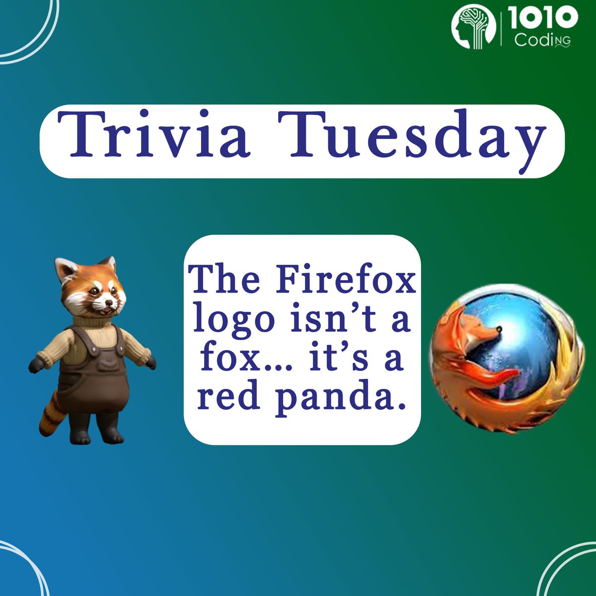 1010Coding's tweet photo. Who would have imagined that the Firefox logo is a Panda?
The Firefox is actually a red panda which is a protected specie in Asia. A mistake when translating red panda from Chinese to English is how we got Firefox.
#Abuja #Calabar #Ibadan #OnlineEducation #ELearing #SummerCamp https://t.co/Mfm94nxdqT