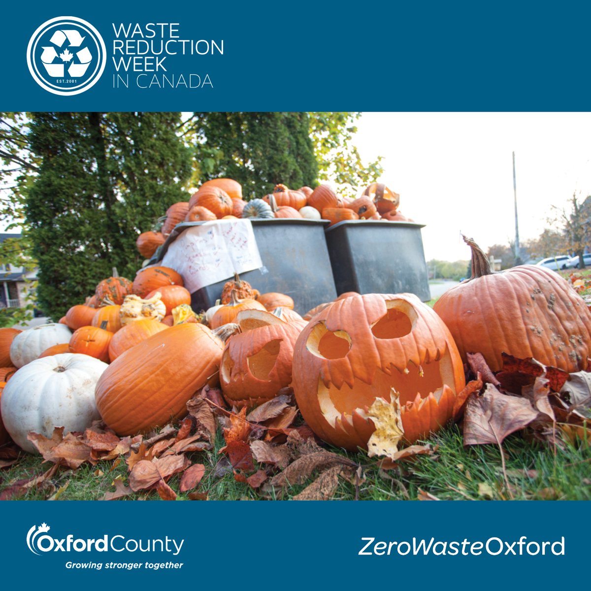 National Waste Reduction Week continues with Food Waste Friday! It is estimated that individuals and households across Canada waste more than $10 billion worth of food every single year. Learn about Oxford’s Great Pumpkin Rescue at facebook.com/greatpumpkinre….
