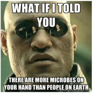 lexi_b2085's tweet photo. There are approximately 1,500 bacteria per square centimeter of human skin. The best defense to protect yourself from harmful bacteria is by properly washing your hands and keeping proper hygiene. #BioPhilms @jeheindl https://t.co/1I9B2Ggutp
