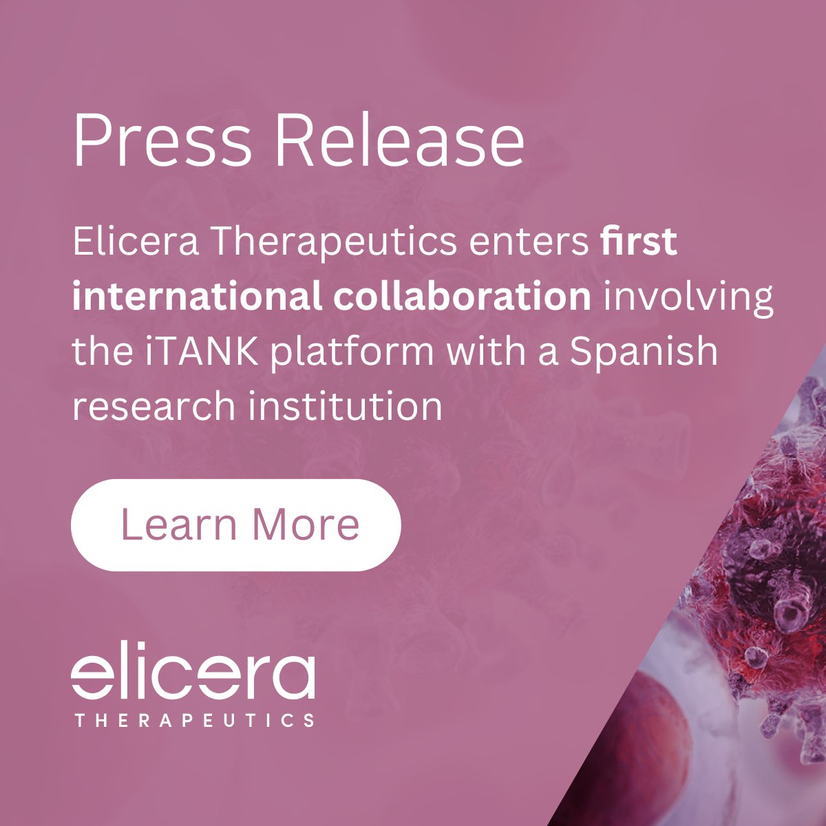 EliceraTx's tweet photo. Press Release:

- Elicera Therapeutics enters first international collaboration involving the iTANK platform with a Spanish research institution -

https://t.co/NaEyanVXho

#immunotherapy https://t.co/p47R4UZwvd