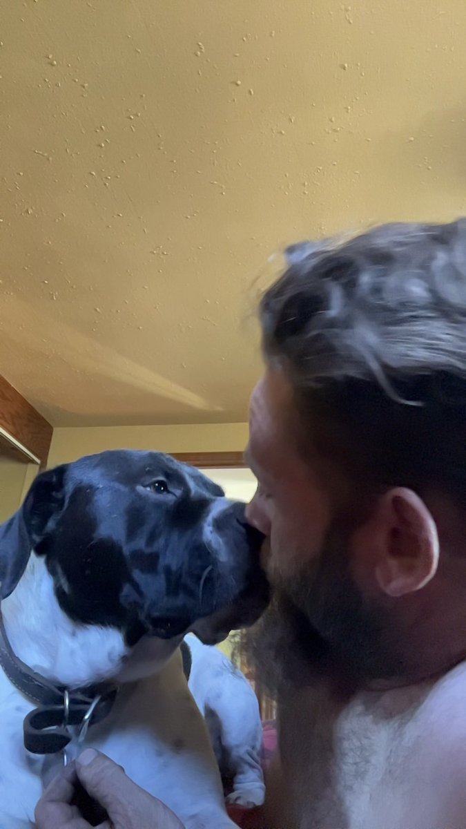 MountainGal420's tweet image. Please send all the healing vibes you can muster to Alvin this morning! He is on his way to Medford, 3hr drive, to see an emergency vet and possibly surgery. He’s very very sick and not doing good at all. We are all devastated and holding onto every last hope for him.