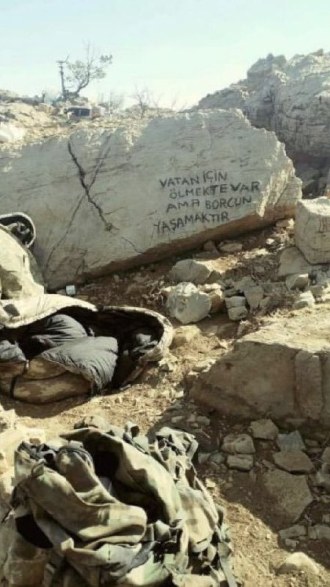 Yaşa ki yaşatasın