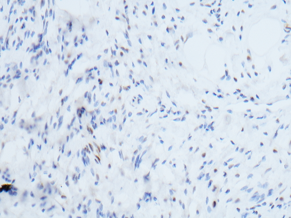 Oral Path Opinion tweet media