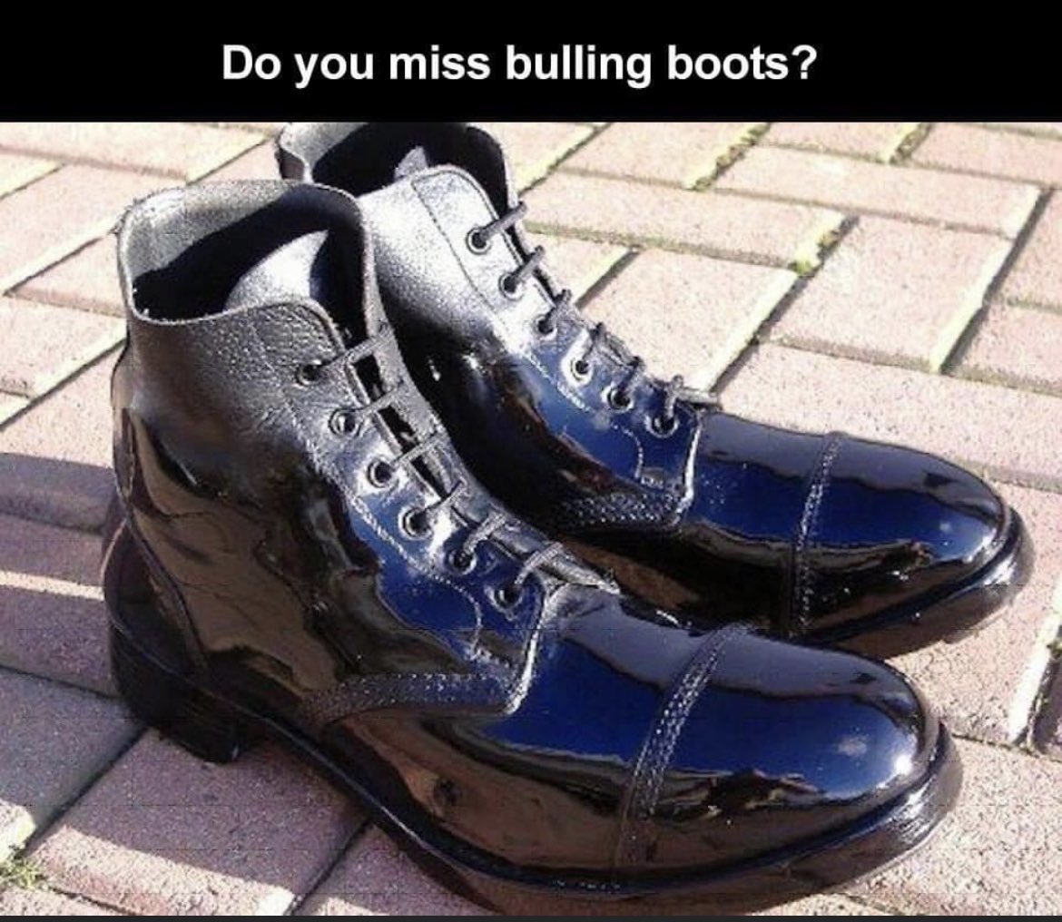 Irish Ranger (Sevvy) tweet media