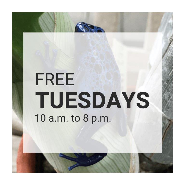 Tuesdays are free general admission days at the Huntington Museum of Art and C. Fred Edwards Conservatory. Our Tuesday hours are 10 a.m. to 8 p.m.