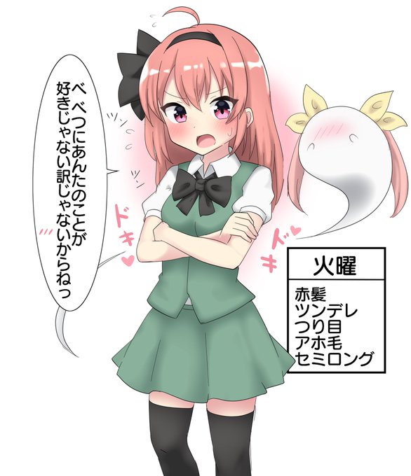 曜日ごとに属性が変わる妖夢!(火曜日) 