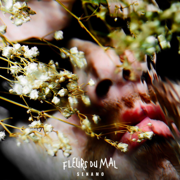 "Fleurs du mal" de Senamo fête ses 3 ans aujourd'hui.

<a href="/SenamoLaSmala/">Senamo</a> #Senamo #FleursDuMal