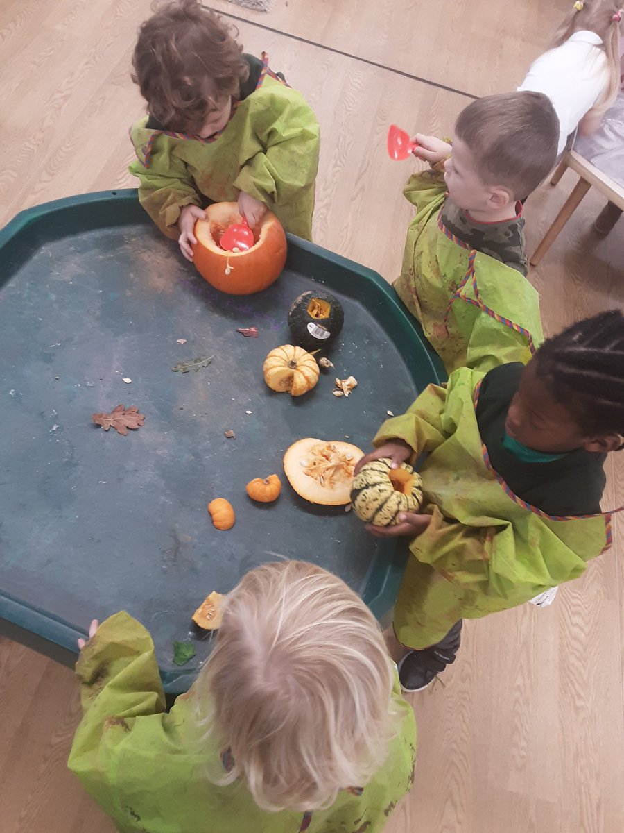 Badgers have been looking at different pumpkins this morning and talking about the similarities and differences. This afternoon we have cut off the top and we are exploring the insides. "It's got seeds." "It's a pumpkin patch" #autumn #pumpkin <a href="/ashbridgeschool/">Ashbridge School</a>