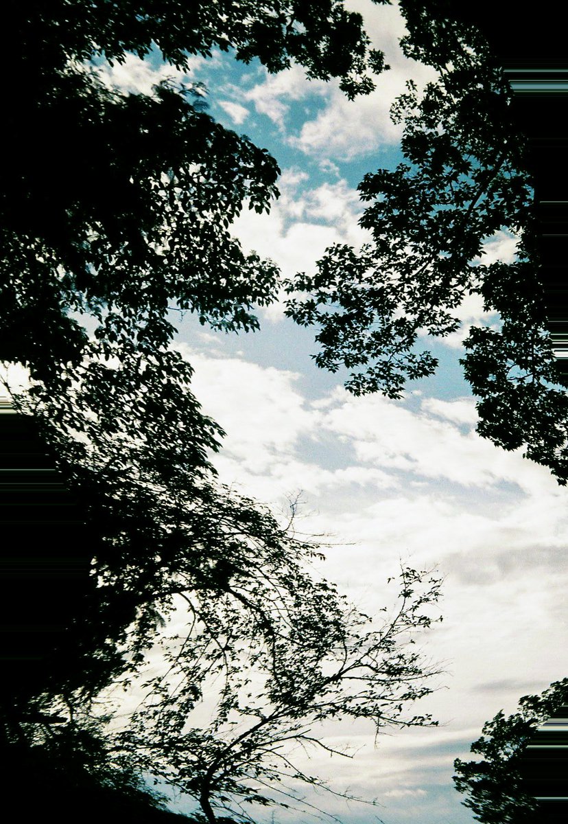 leo_ichikawa's tweet photo. 2019 

#leoichikawa #photography #photooftheday #tokyocameraclub #Streetmagazine #streetleaks #fashionphotography #portrait #filmphotography #filmcamera #artphoto #streetphotography #photograph #photodaily #landscapephotography #naturephotography #photoshoot https://t.co/CnmzpX180T