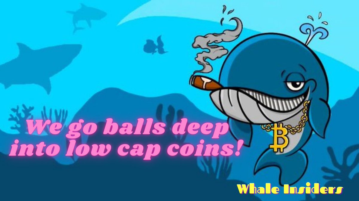$500 in 5 Days 

⭐️ $250 

RT + Follow @whaleinsiderx 

💫 $250 

Join Whale Insider Group 

t.me/+8uKHMuvbotw3M…

(Proof Please)