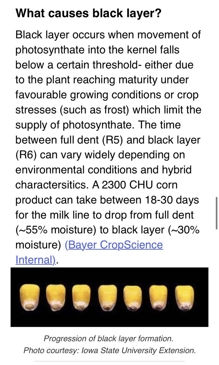 A little Q&amp;A from the start of harvest🚜

1️⃣ Why are there so many green stems in the soybean crop?

2️⃣ What’s causing the delayed black layer in corn? 

I reached out to a few experts for some help, get the whole story here:

view.flodesk.com/emails/634c22d…