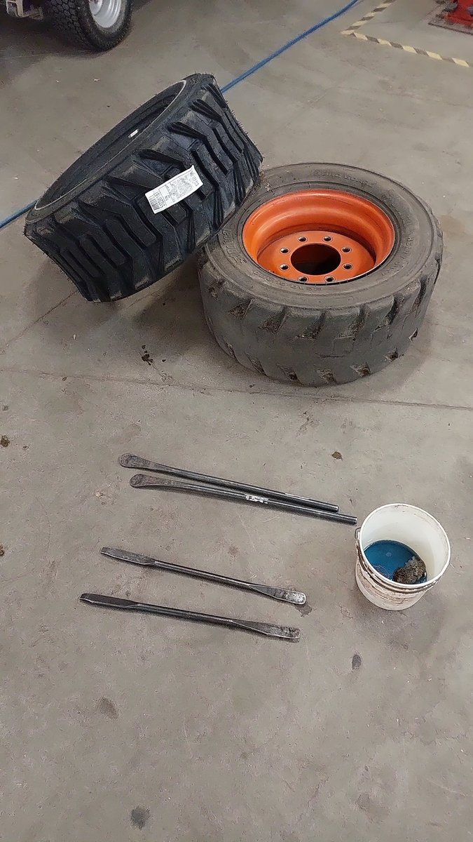 Tis the season to put new shoes on Bobbie.
