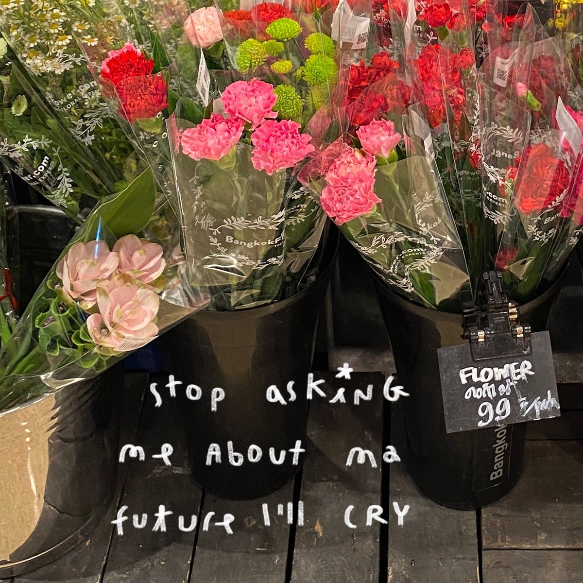 lalaland tweet media