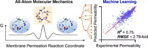 JCIM & JCTC Journals (@jcim_jctc) on Twitter photo #Membrane Permeating Macrocycles: Design Guidelines from #MachineLearning #compchem #MolecularModeling
pubs.acs.org/doi/10.1021/ac…
<a href="/Dr_BillyWN/">Billy Noonan</a> <a href="/MaiadaSadek/">Maiada M. Sadek</a> <a href="/ElizabethYuriev/">Elizabeth Yuriev Kharkiv-born Kharkiv-proud 🇺🇦</a>
#current_issue #JCIM #MachineLearning #DeepLearning #Membrane Permeating Macrocycles: Design Guidelines from #MachineLearning #compchem #MolecularModeling
pubs.acs.org/doi/10.1021/ac…
<a href="/Dr_BillyWN/">Billy Noonan</a> <a href="/MaiadaSadek/">Maiada M. Sadek</a> <a href="/ElizabethYuriev/">Elizabeth Yuriev Kharkiv-born Kharkiv-proud 🇺🇦</a>
#current_issue #JCIM #MachineLearning #DeepLearning
