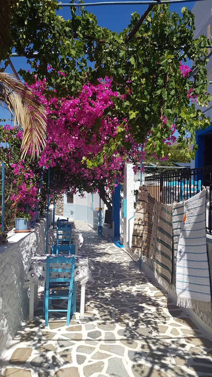 @Visitkalymnos beautiful backstreets of Telendos.