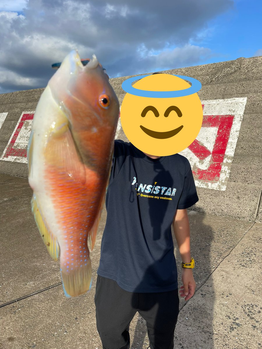 akita_ufishing tweet picture