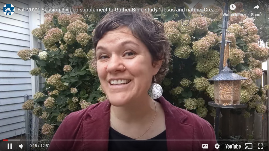GatherMagazine's tweet image. Watch the video supplement for the &quot;Jesus and nature: Creatures&quot; Bible study by the Rev. Sara Olson-Smith.
gathermagazine.org/november-2022-…
#fallstudy #fall #tuesdaymotivation #november