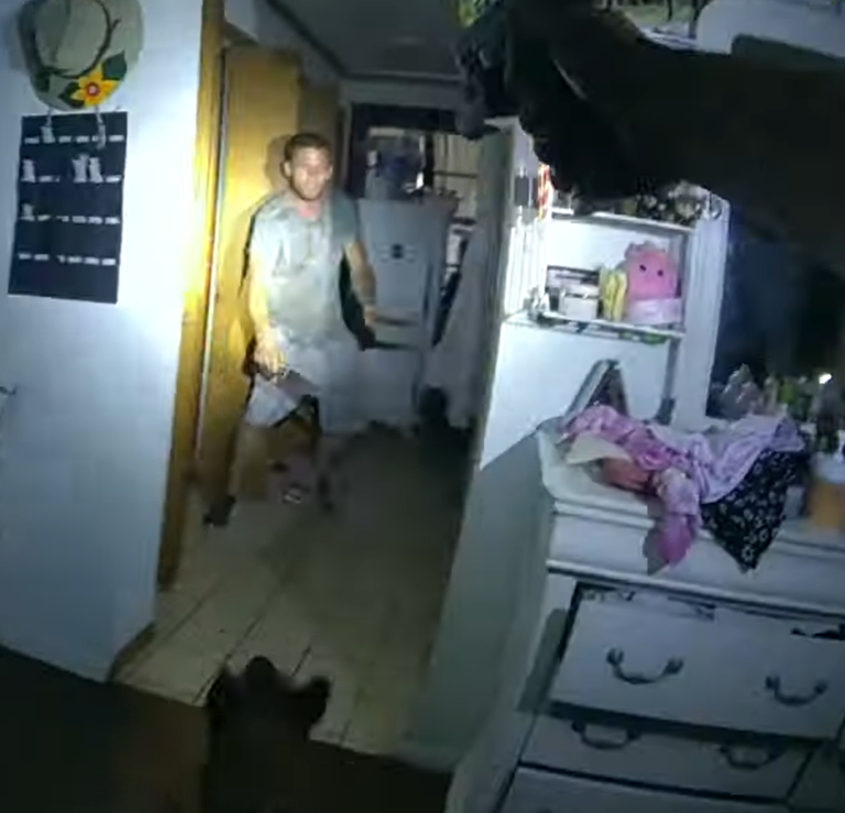 Breaking911 on Twitter "GRAPHIC Florida Man Slices Up Police K9