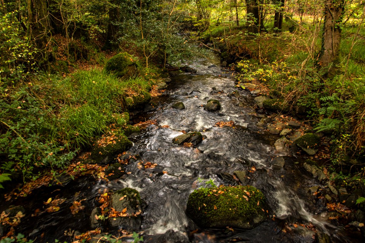paulcdaly's tweet photo. A lovely couple of days in #wicklow #woodenbridge #laragh #devilsglen @visitwicklow @stormhour @PictureIreland https://t.co/YbtrsoqCIi