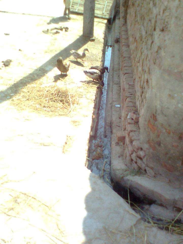 UserNotFoundUNF's tweet photo. Me infront of door of our paternal house in paternal village #Kothara #AliPurChatha 10 years back ...
Some pics from our street ... https://t.co/mMUJCX9YCz