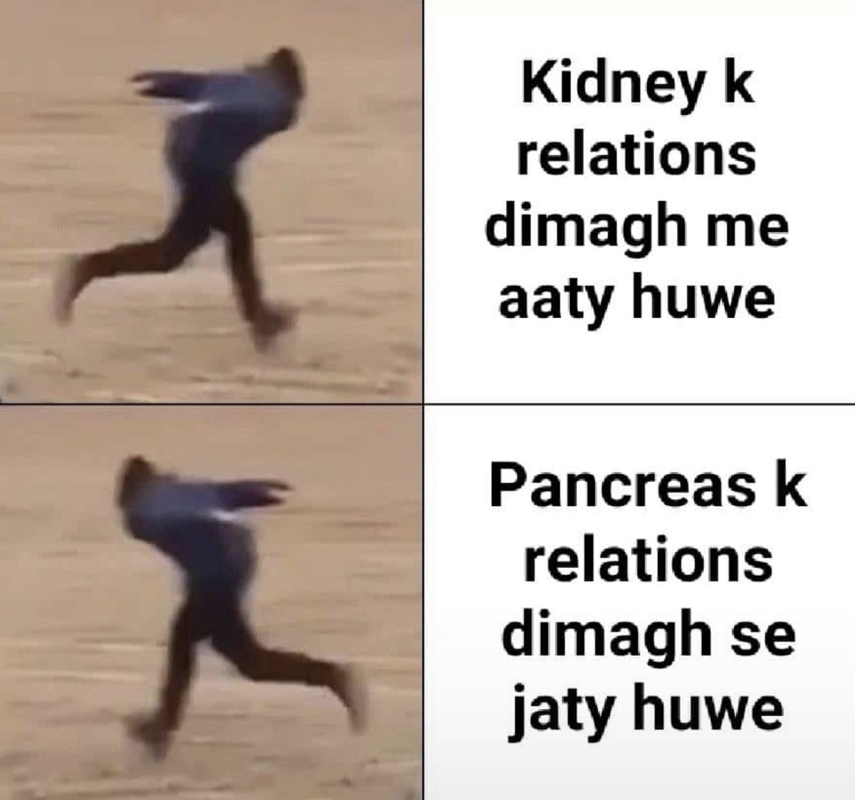 Drmeerhazar49's tweet photo. #RIpsecondyearproffs
#Ripanatomy https://t.co/lzrzinTM8K