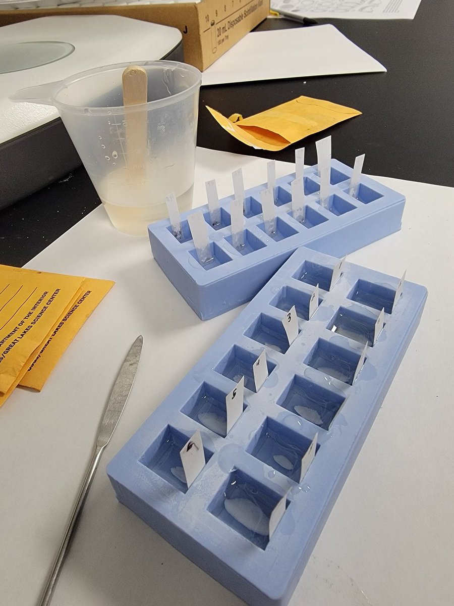 ErieFishGuy's tweet photo. Lab work? What's that?😜 

After several months in the field, it feels good to start processing samples. #otoliths #labwork #Burbot #USGS https://t.co/dUSxYTpx2N