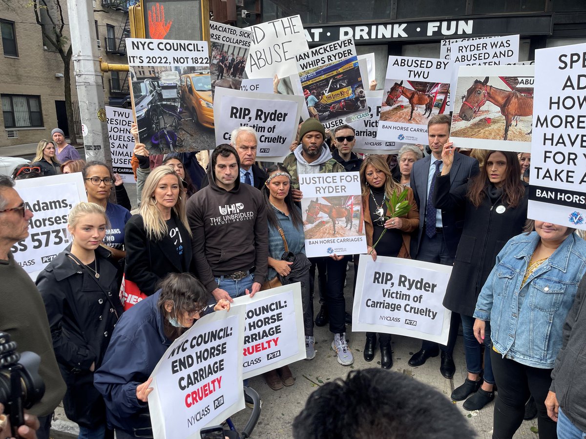 Ryder's collapse on a hot August day became international news, and the calls for stopping animal abuse were loud and clear.

Today, countless New Yorkers held a vigil for Ryder. We remembered what this poor horse endured and his miserable life pulling carriages.

Pass Intro 573!