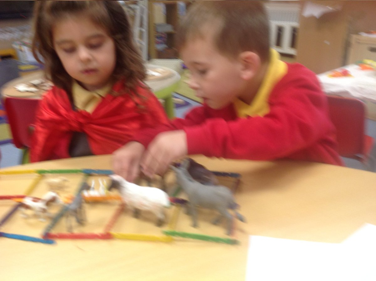 St David's RC Primary tweet media