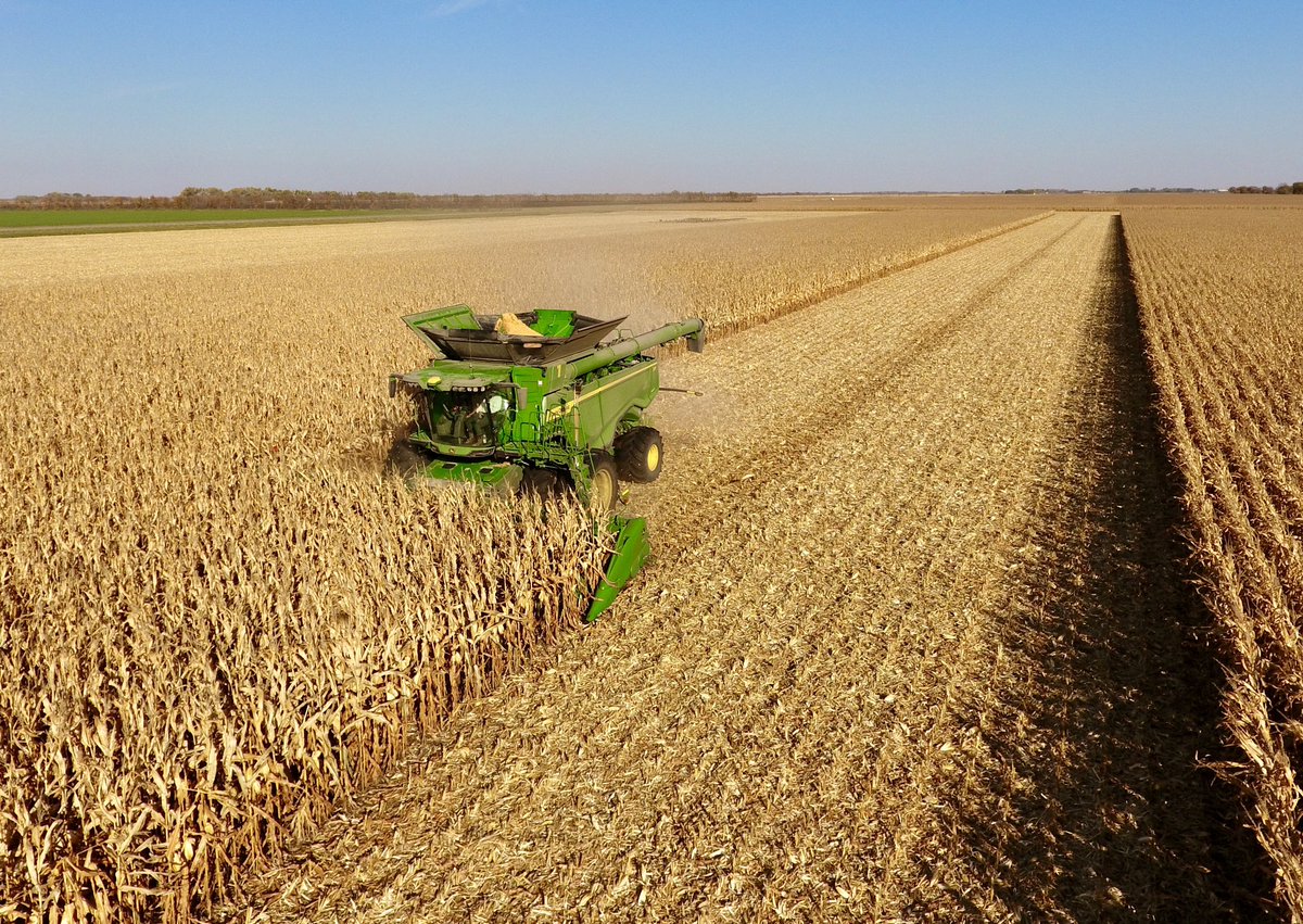 Cameron Hildebrand tweet media