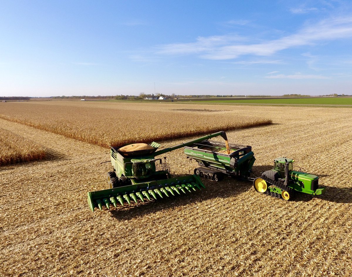 Cameron Hildebrand tweet media