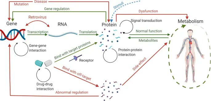 Review: Computational systems biology in disease modeling and control, review and perspectives - npj Systems Biology and Applications buff.ly/3fJljXj