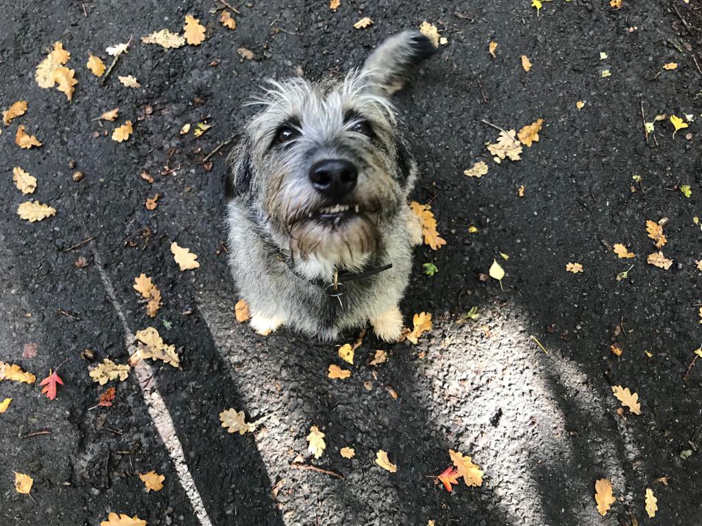 AmberstoneAR tweet media