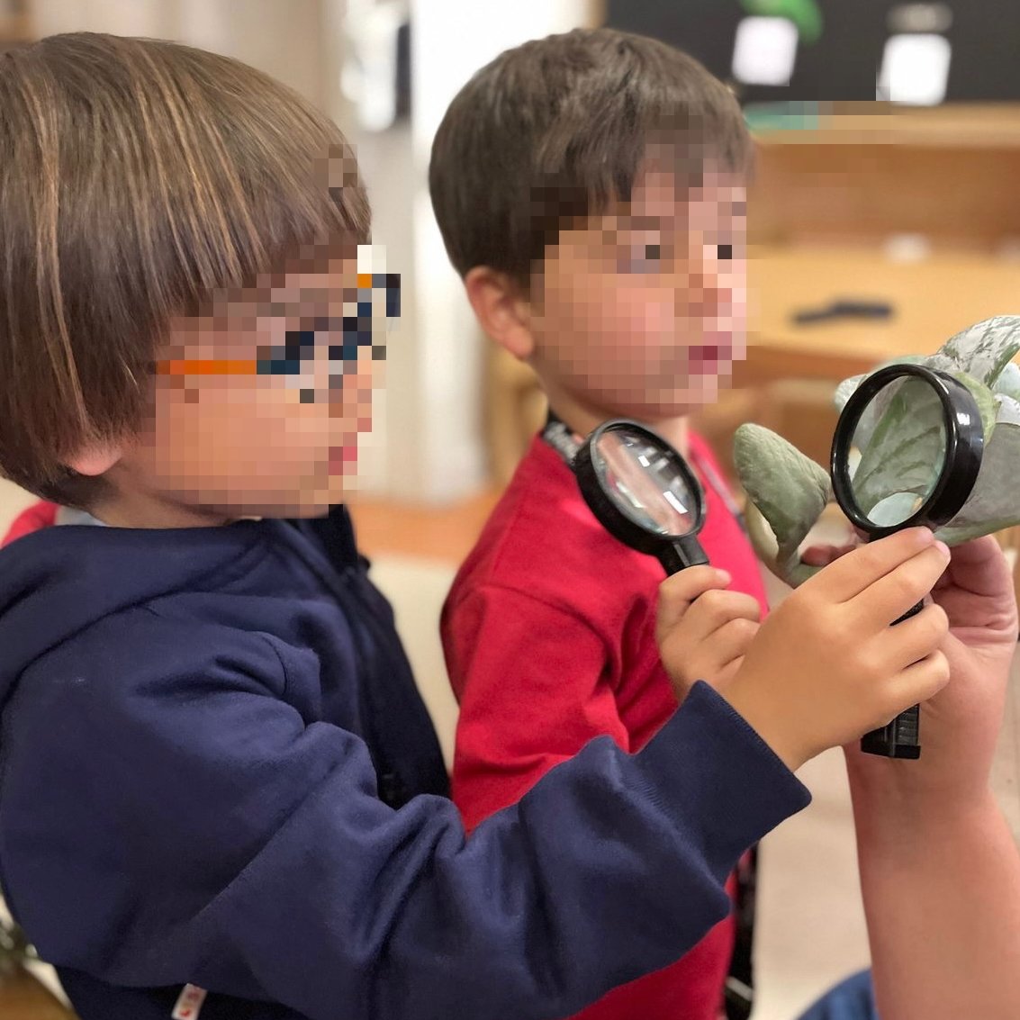 Responsive curriculum that is guided by student curiosity is rarely routine. It dances with surprise. It pursues wonder. It treasures every question. It finds joy at every turn. #NidoLearns #Inquiry #EarlyYears