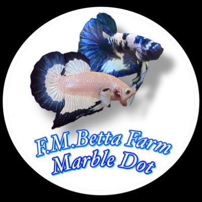 FMBettaFarm tweet picture
