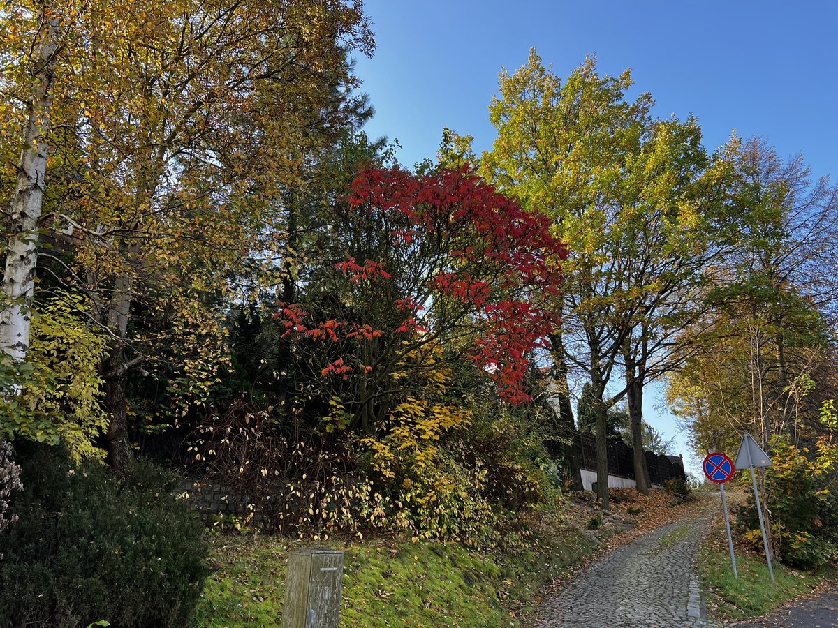 piękne kolory jesieni w Jeleniej Górze