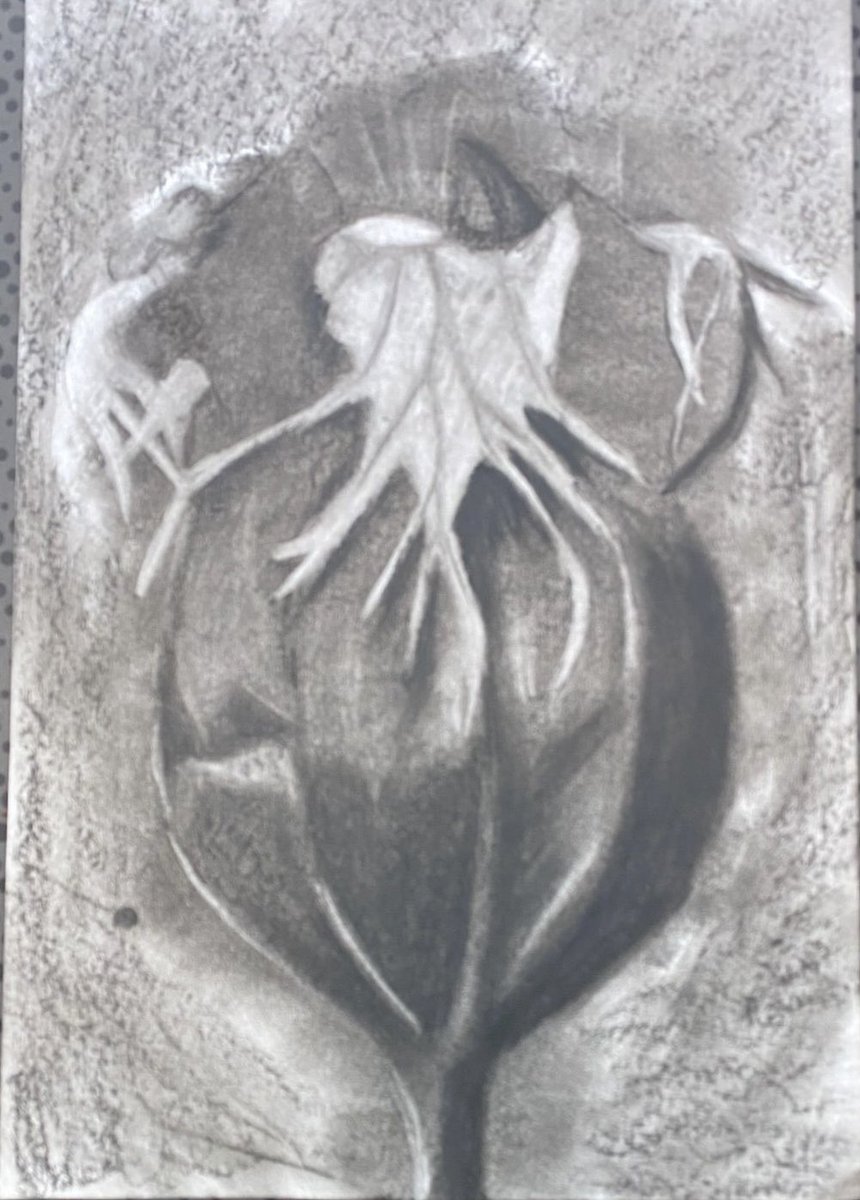 LeytonstoneArt's tweet photo. Exceptional subtracted tone work yr10 @tessreedy @LeytonstoneArt https://t.co/fBmlUK0bB2