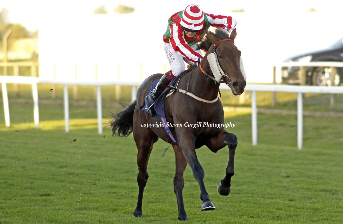 2nd win for 3yo g THE SPOTLIGHT KID @CierenFallonJr in 7f handicap @GTYarmouthRaces today for @CPStudOfficial Mayson and trainer Dean Ivory.