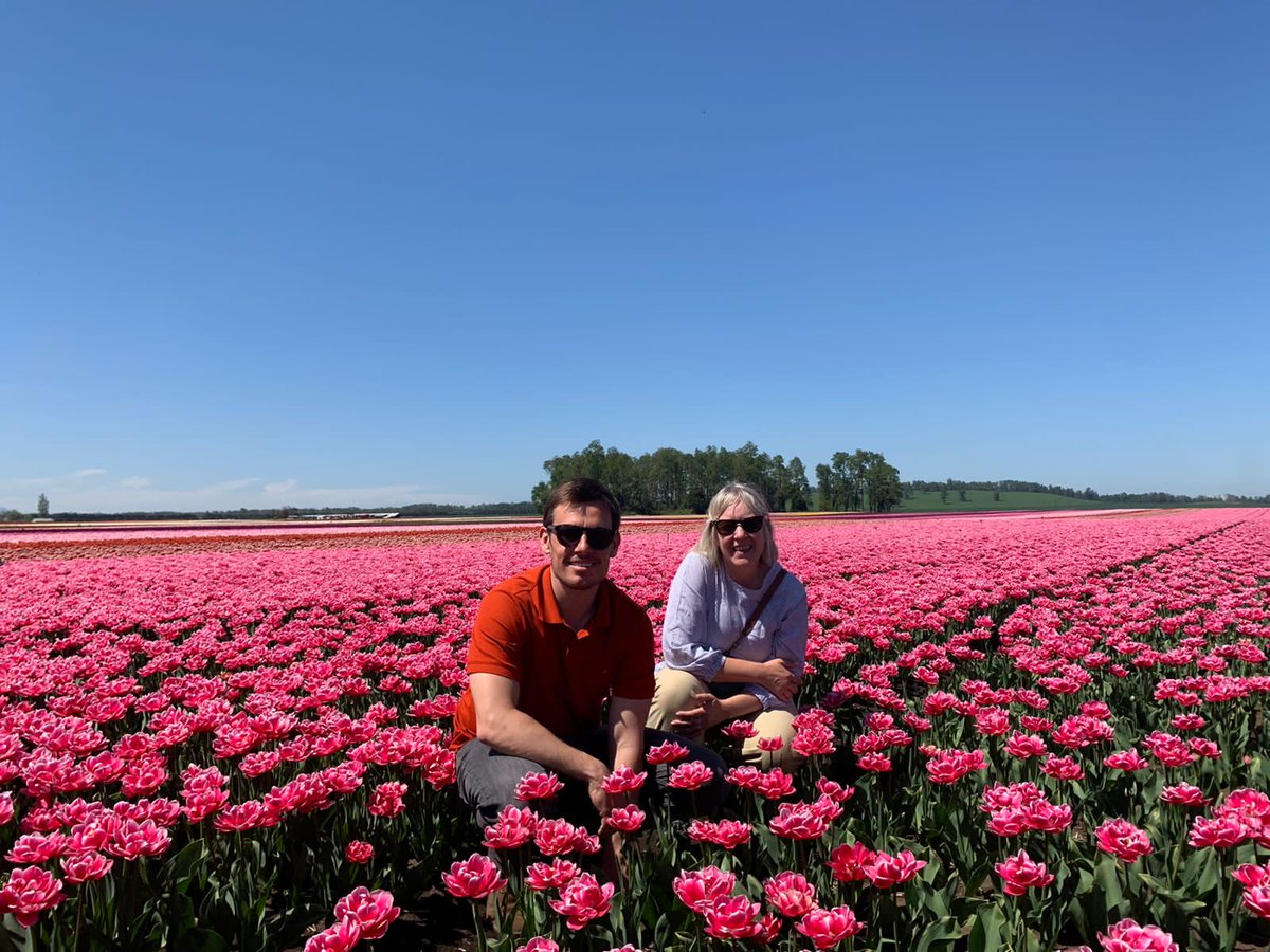 Did you know tulips are grown in Chile too? Today Team Cono Sur visited the tulip fields near Osorno and saw that with technical assistance of NL growers and consultants, this sector is blooming! ⁦@ingeh⁩ ⁦<a href="/AgroBericht/">AgroberichtenBuitenland</a>⁩