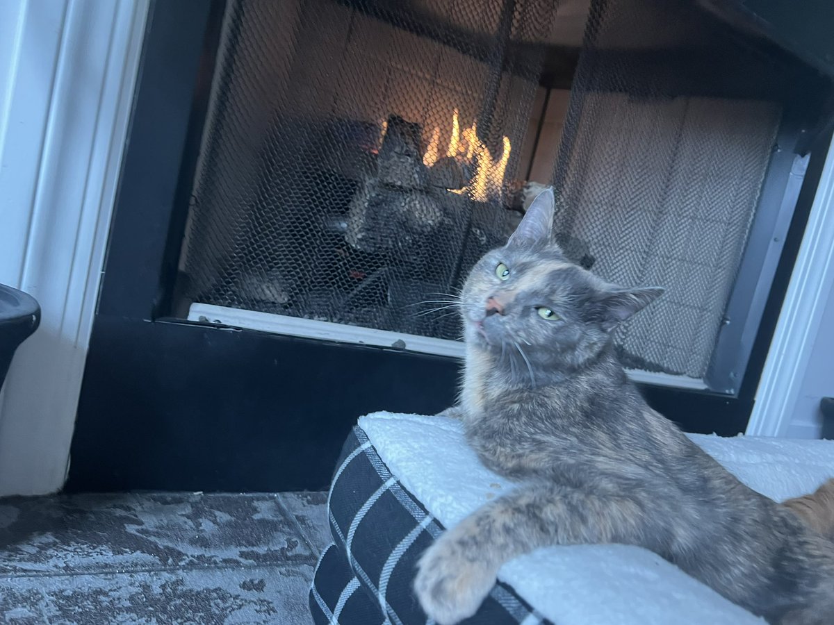 new winter spot just dropped 🥰