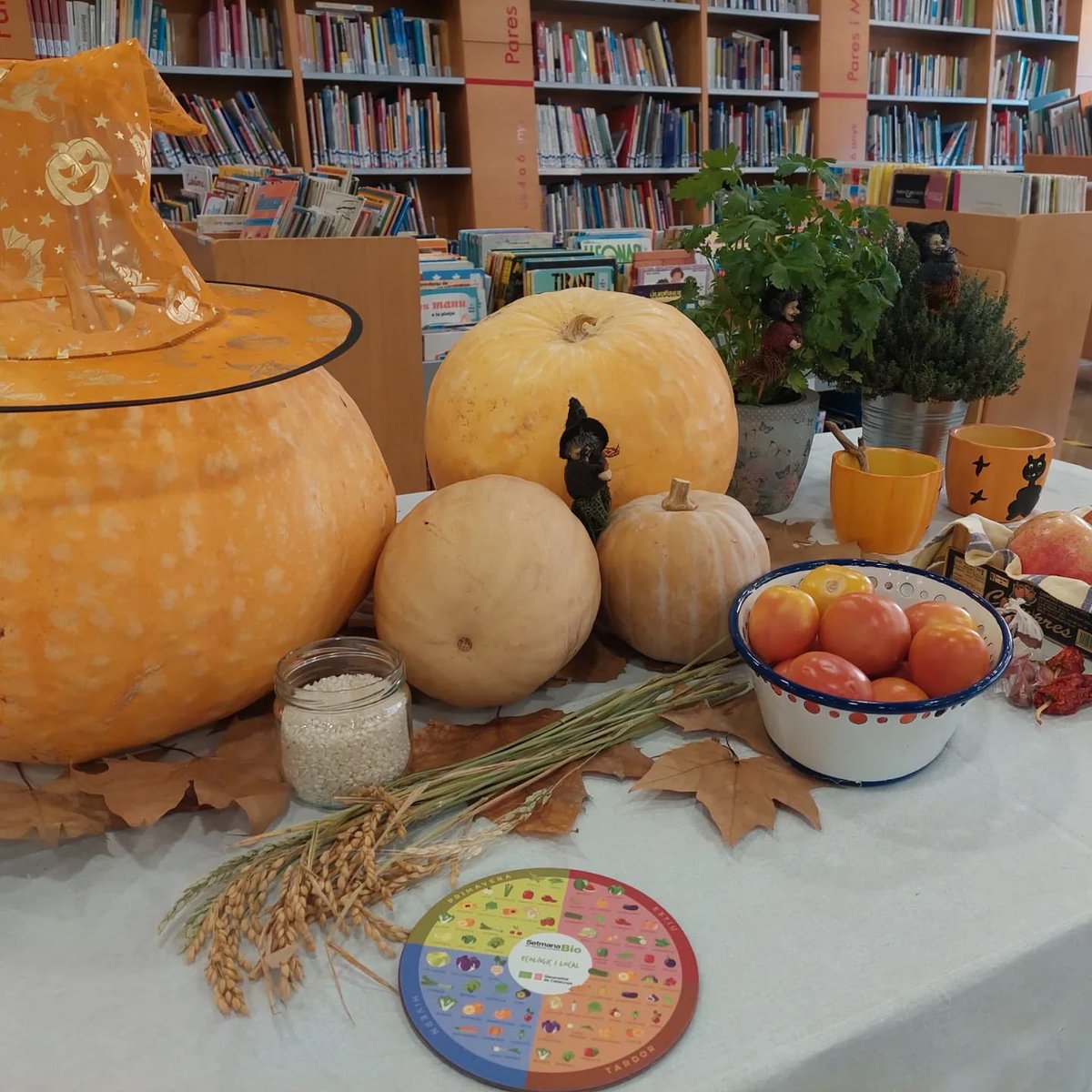 irenepradesg64's tweet photo. Quin goig feia veure la verdura…
🍅🥕🍅🥬🥬 #talleragriculturaecologica #SetmanaBIO2022 Aprenem a cultivar, productes ecològics de proximitat km0 amb Auxi Piñol @bibliotecamd https://t.co/LmyCa8NHLz