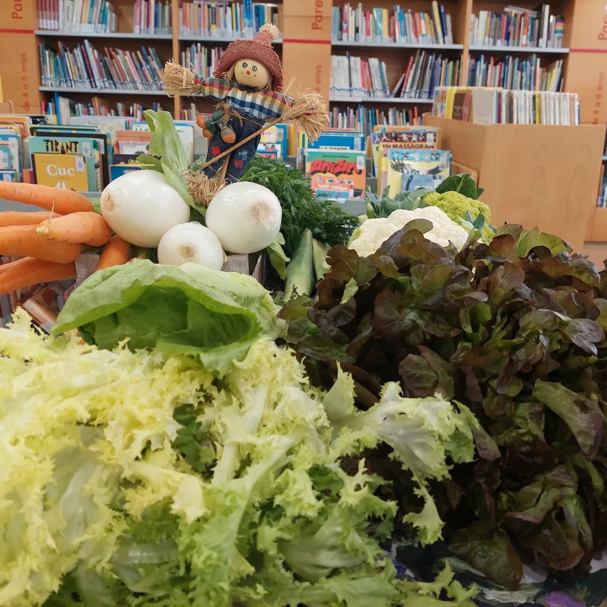 irenepradesg64's tweet photo. Quin goig feia veure la verdura…
🍅🥕🍅🥬🥬 #talleragriculturaecologica #SetmanaBIO2022 Aprenem a cultivar, productes ecològics de proximitat km0 amb Auxi Piñol @bibliotecamd https://t.co/LmyCa8NHLz