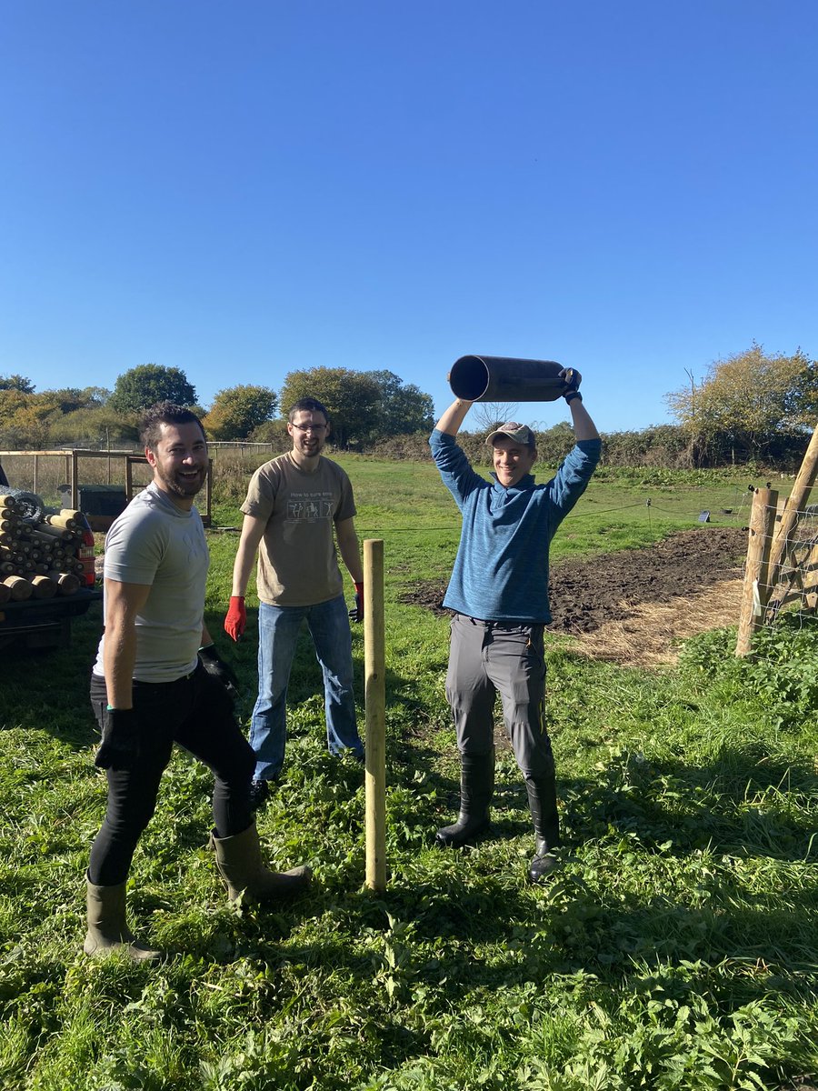 Brad Tuckfield tweet media