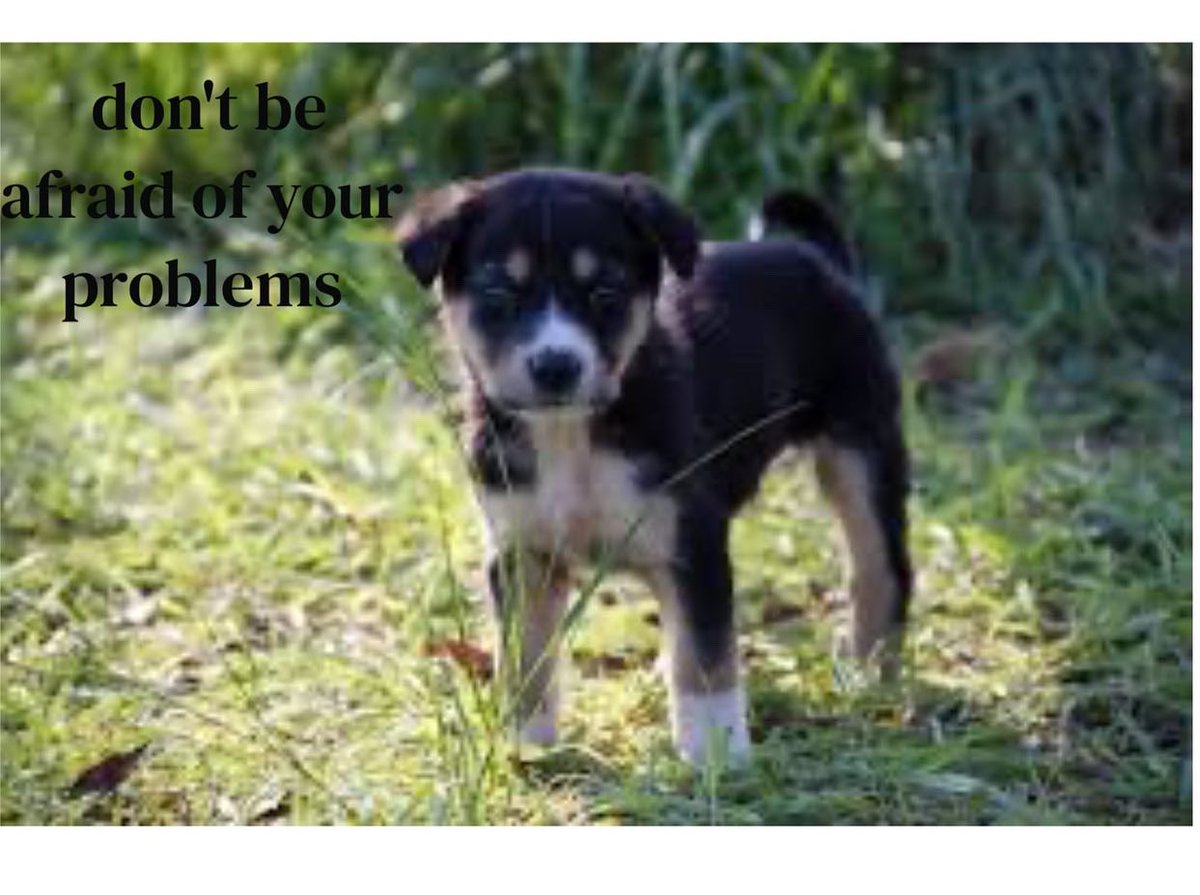 Keadlefirsties's tweet photo. Third graders used @seesawlearning to create motivational posters that convey the #authorsmessage #theme from “What to Do With A Problem” read aloud by Kobi Yamada #62united #62learns https://t.co/NAe2lKzRY1