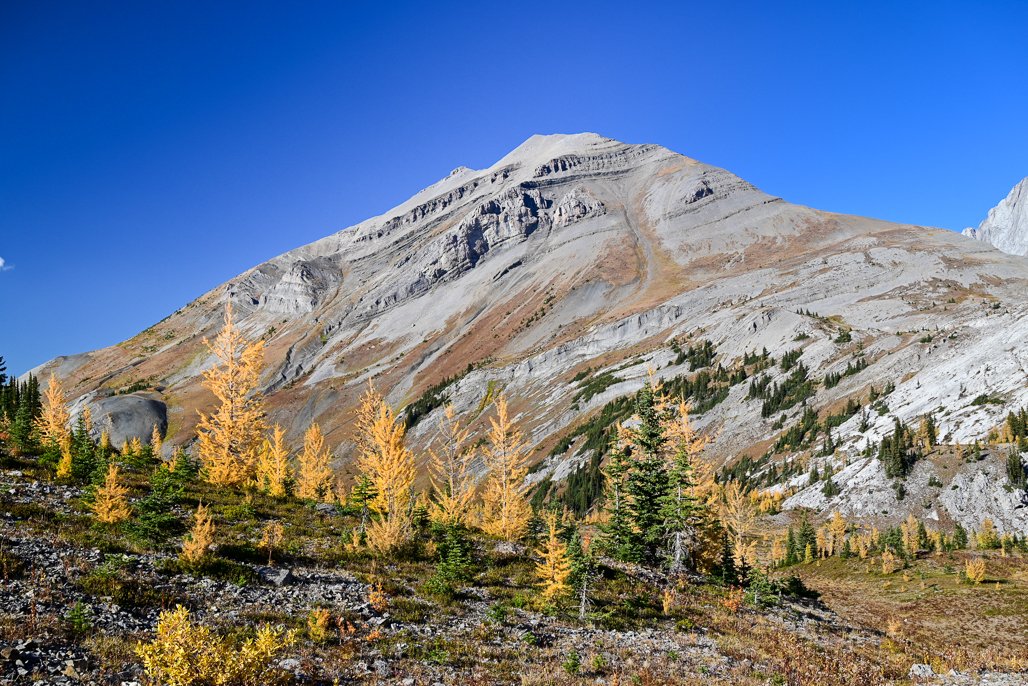 playoutsidegal's tweet photo. We've been loving the warm weather @AlbertaatNoon ! ☺ Here are some pics from this month: Mount Lipsett, Burstall Pass, Lake Minnewanka, &amp; Calgary Peace Bridge. #albertaatnoon https://t.co/zvV7P0GM30