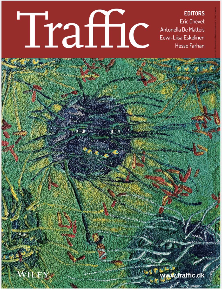 Dufourlab (@dufourlab) on Twitter photo We got the cover😀! Art was done by Ron Throop <a href="/TrafficJournal/">Traffic Journal</a> <a href="/SnyderInstitute/">Snyder Institute for Chronic Diseases</a> <a href="/luizbiotech/">Luiz Gustavo</a> <a href="/UCalgaryMed/">UCalgaryMedicine</a> <a href="/McCaigInstitute/">McCaig Institute</a> <a href="/HotchkissBrain/">Hotchkiss Brain Institute (HBI)</a> We got the cover😀! Art was done by Ron Throop <a href="/TrafficJournal/">Traffic Journal</a> <a href="/SnyderInstitute/">Snyder Institute for Chronic Diseases</a> <a href="/luizbiotech/">Luiz Gustavo</a> <a href="/UCalgaryMed/">UCalgaryMedicine</a> <a href="/McCaigInstitute/">McCaig Institute</a> <a href="/HotchkissBrain/">Hotchkiss Brain Institute (HBI)</a>
