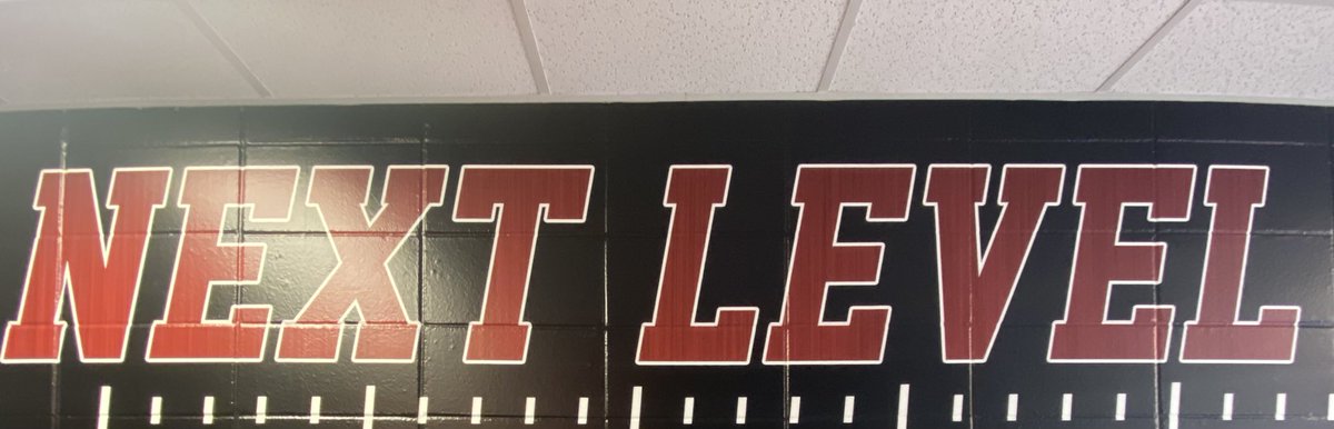 Dave Handal tweet media